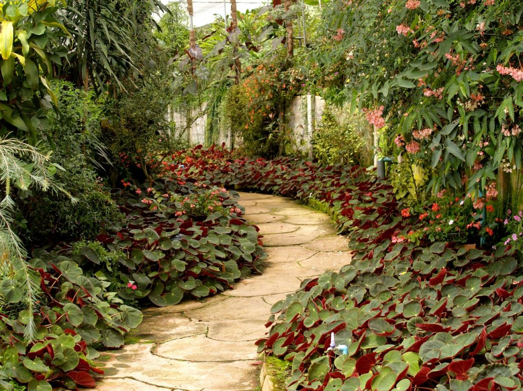 garden path